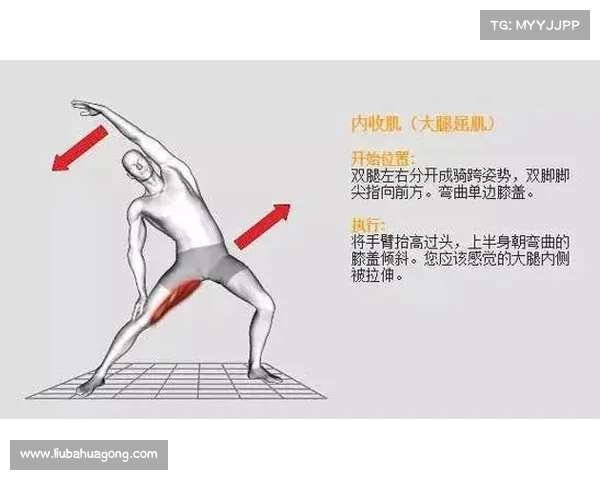 静态拉伸的重要性与正确方法解析促进身体柔韧性和预防运动损伤 静态拉伸的重要性与正确方法解析促进身体柔韧性和预防运动损伤