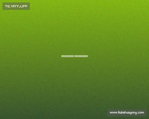 孔蒂教会我们坚持不懈 他是一个永不放弃的榜样