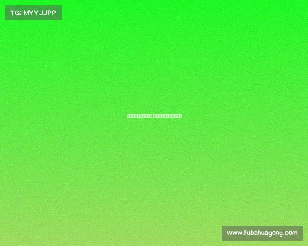 孔蒂教会我们坚持不懈 他是一个永不放弃的榜样